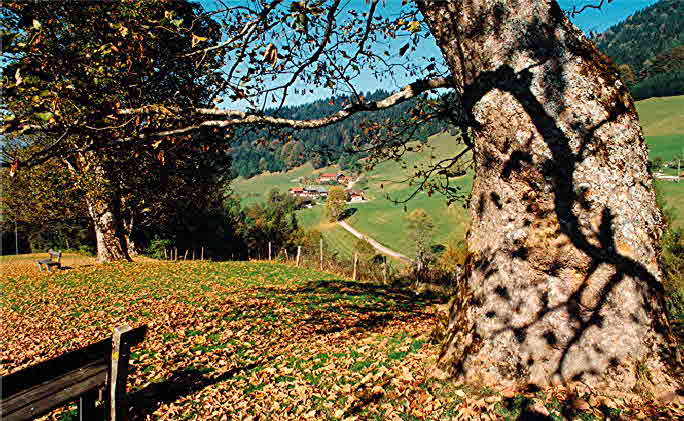 Herbst Ferienwohnungen in BerchtesgadenHaus Frechen 